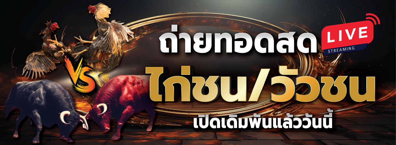หน้าปกไก่ชน