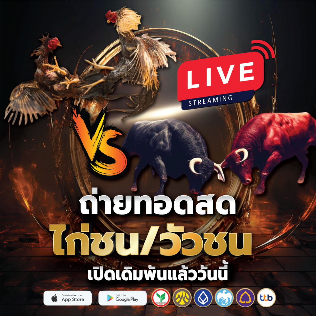 ไก่ชน วัวชน โมบาย